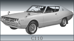 C110